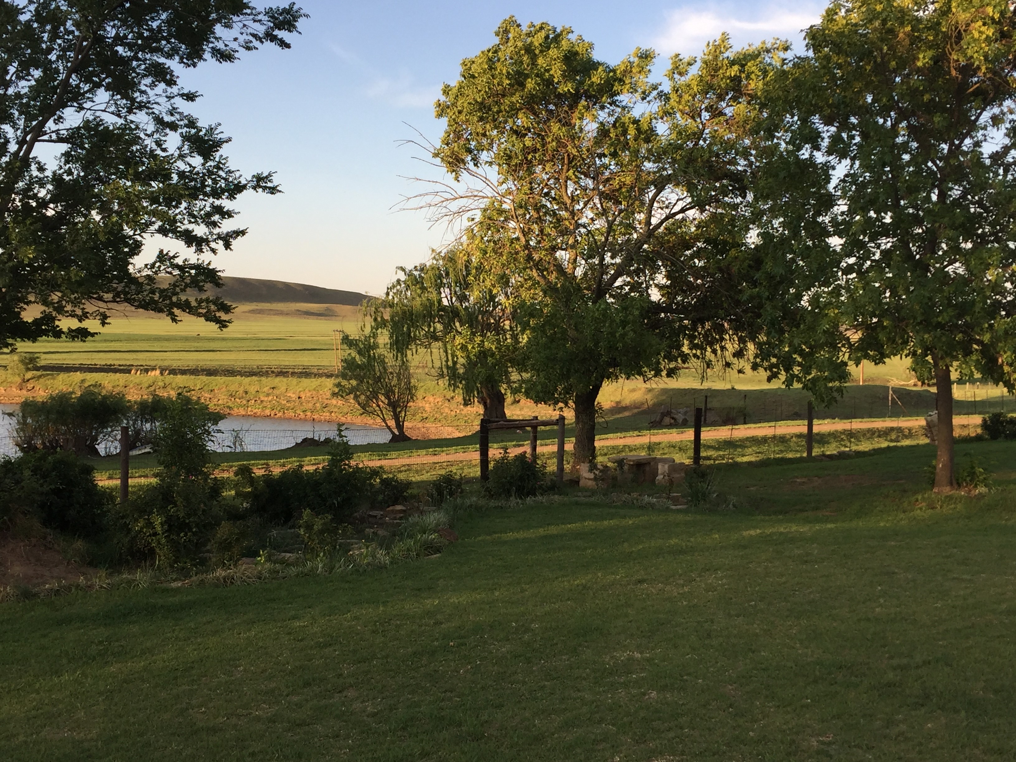 hartlam_story1